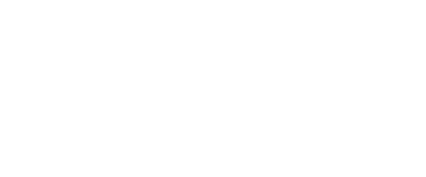 Sping Digital Lab