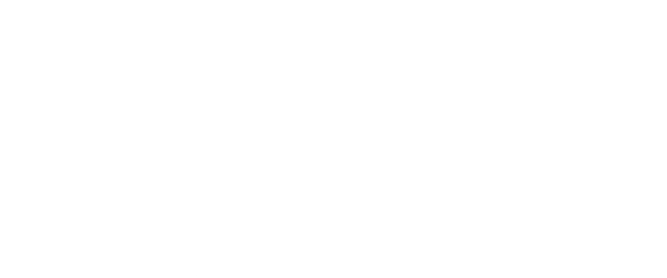 Sping Digital Lab